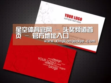 项目名称八