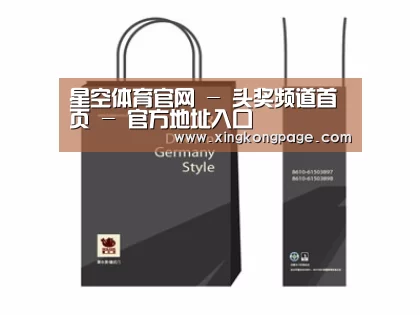 项目名称十四