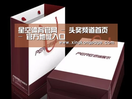 项目名称十二