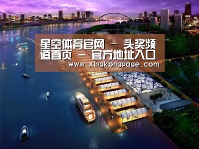 案例展示八