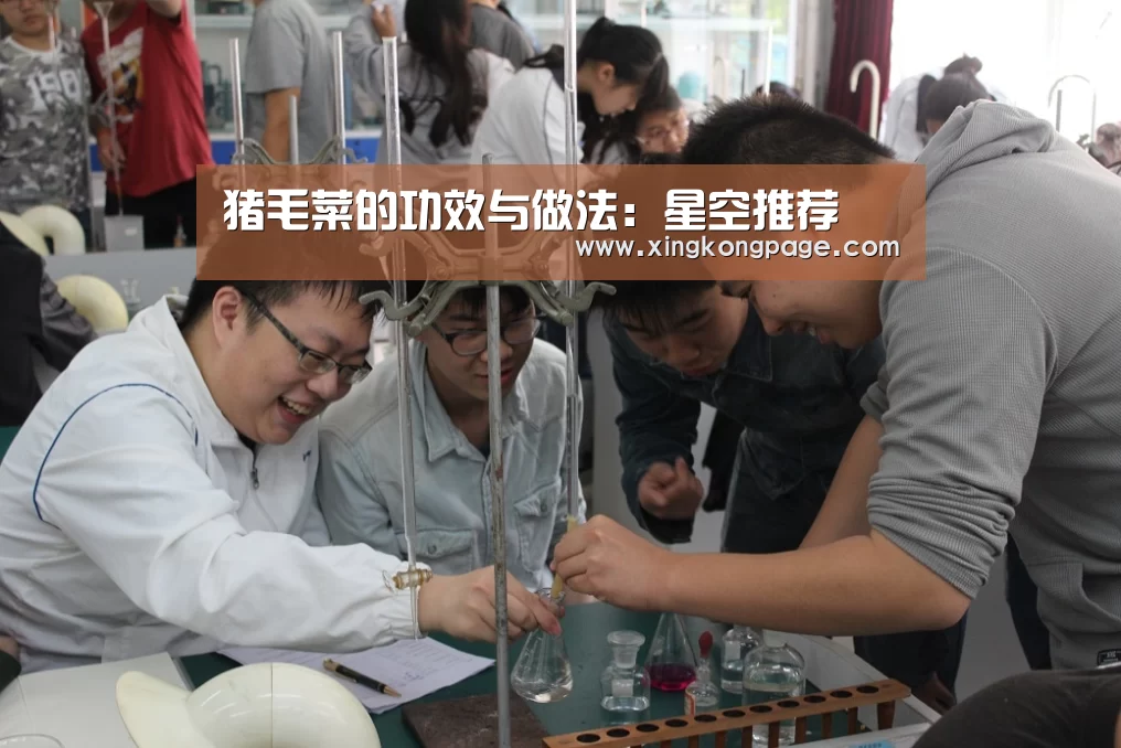 猪毛菜的功效与做法:星空推荐(图1) 星空APP