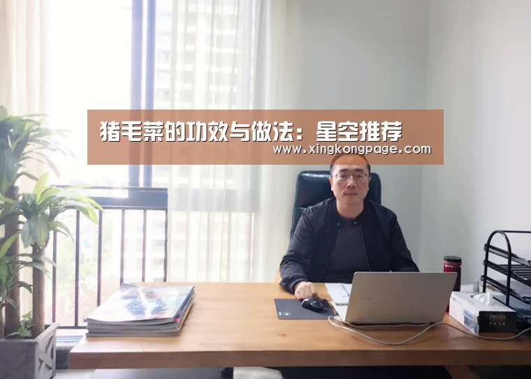 猪毛菜的功效与做法:星空推荐(图2) 星空体验