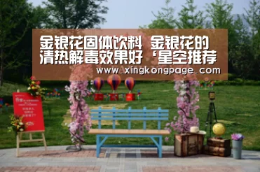 金银花固体饮料 金银花的清热解毒效果好‘星空推荐’(图1) 星空APP
